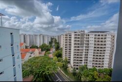 Blk 235 Pasir Ris Street 21 (Pasir Ris), HDB Executive #557226771